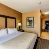 Отель Holiday Inn Arlington NE-Rangers Ballpark, an IHG Hotel, фото 4