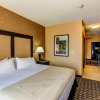 Отель Holiday Inn Arlington NE-Rangers Ballpark, an IHG Hotel, фото 3