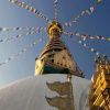 Отель Monkey Temple Homestay, фото 27