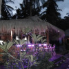 Отель Kebun Kupu Kupu Gili Meno Eco Resort, фото 2