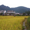 Отель Wuyuan Kangyue Hotel, фото 3