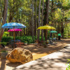 Отель Hidden Valley Eco Spa Lodges & Day Spa, фото 12