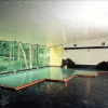 Отель Kamenoi Hotel Tazawako, фото 16