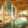 Отель Iruka Onsen Hotel Seiryuusou, фото 15