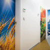 Отель Apartment Four Year Seasons, фото 1