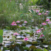 Отель Baan Maka Nature Lodge, фото 3