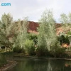 Отель Hotel-Restaurant Kasbah Ait-Arbi, фото 2
