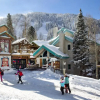 Отель Alpine Village Suites, фото 13