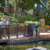 Отель Hyatt Regency Aruba Resort and Casino, фото 36