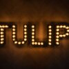 Отель Tulip Residences Joinville-Le-Pont в Жуанвиль-ле-Поне