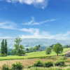 Отель Holiday Home in Mont de L'enclus With Garden, фото 8