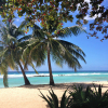 Отель Sugar Bay Barbados - All Inclusive, фото 11