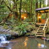 Отель The Mouses House Rainforest Retreat, фото 2