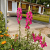 Отель Cabanas Orion, фото 12