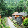 Отель Blue Ginger Wayanad Resorts, фото 13