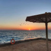 Отель Eurotel Palm Beach Resort, фото 17
