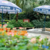 Отель Yufu Hot Springs Hotel, фото 34