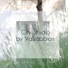 Отель Valsabbion City Studio, фото 14