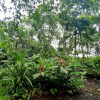 Отель Lapalapa Beachfront, фото 42