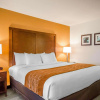 Отель Comfort Inn, фото 4