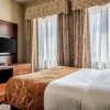 Отель Comfort Suites Near Texas State University, фото 4