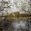 Отель Waterside Lodge by PAY AS U STAY, фото 19