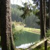 Отель Ferienwohnung Im Harz Haus Bruns, фото 14