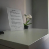 Отель B&B MaisonBlanche, фото 8