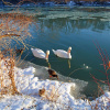 Отель Lily's House on the 12, фото 13