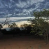 Отель Thorntree Lodge, фото 5