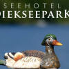 Отель Seehotel Diekseepark, фото 20