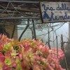 Отель B&B Cinqueterre Il filo di Arianna, фото 47