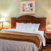 Отель Quality Inn & Suites Ann Arbor Hwy 23, фото 17