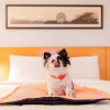 Отель ibis Gurgaon Golf Course Road Hotel, фото 15