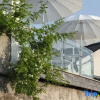 Отель Hangzhou West Lake - Baishanjing Homestay (Xihu Scenic Area), фото 10
