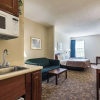 Отель Quality Inn & Suites, фото 10