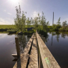 Отель Shepherds Loch Glamping, фото 19