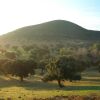 Отель Cortijo El Criadero, фото 19
