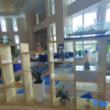 Отель Haisi Boya International Hotel, фото 18