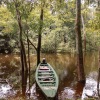 Отель Amazonia Jungle Hotel, фото 15