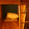 Отель Cotonoha guesthouse - Hostel, фото 19