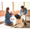 Отель Izumigo, AMBIENT Tateshina Cottage, фото 20