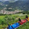 Отель 2-Zimmer Ferienwohnung-Einklang im schönen Südschwarzwald, фото 14