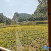 Отель Yunshang Holiday Manor, фото 3