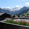 Отель Apart Hotel Adelboden, фото 19