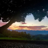 Отель Hacienda El Caney, фото 7