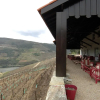 Отель Quinta Nova Winery House - Relais & Châteaux, фото 21