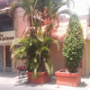 Отель La Vertiente Posada & Suites, фото 1