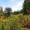 Отель La Quinta de María -Tilcara, фото 14