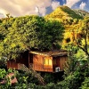 Отель The Tree House Resort, фото 14